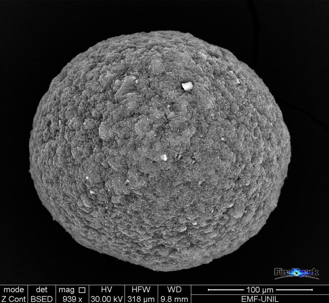 FinalSpark organoide neuronal